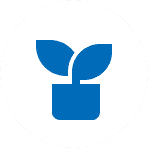 plant icon